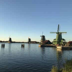 IMG_0608