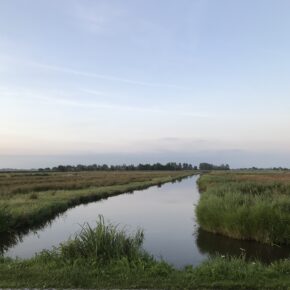 IMG_6771