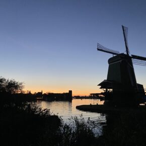 IMG_7885